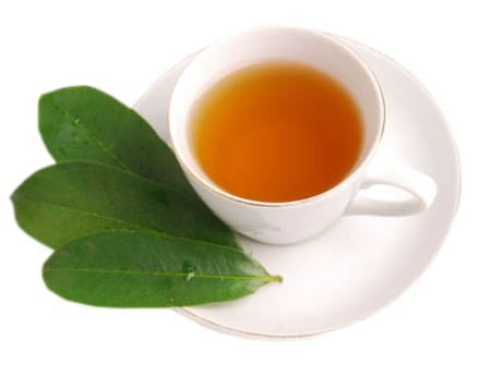 Comment Préparer le Thé de Corossol Parfait Comment Préparer le Thé de Corossol Parfait