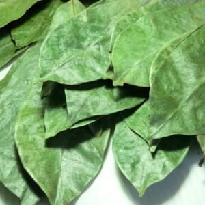 Feuilles de Corossol Sauvages Séchées
